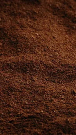 Caffeine Complex